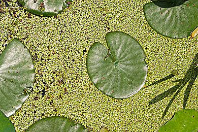 《PEAK》更新本地化 简体中文正式上线